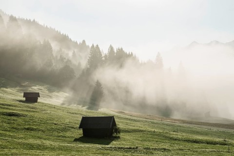 Sunrise and morning mist