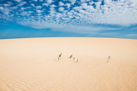 White sand dunes