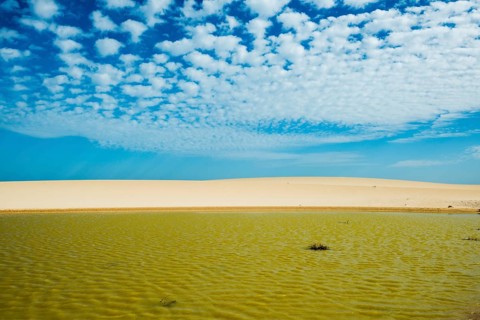 Pluvial lake in the dunes