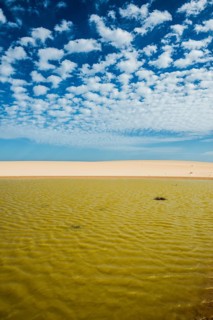 Pluvial lake in the dunes
