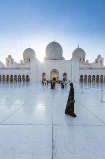 Sheikh Zayed Mosque