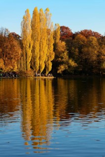 Lake Kleinhesseloher See with beer garden in the fall