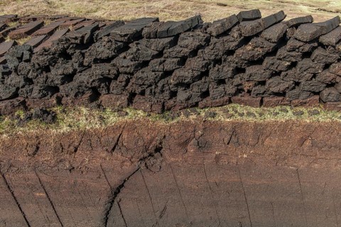 Cut peat on a peat bog