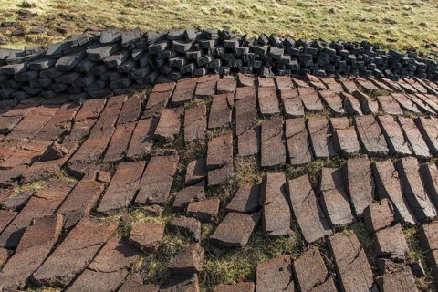 Cut peat on a peat bog