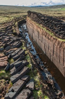 Cut peat on a peat bog