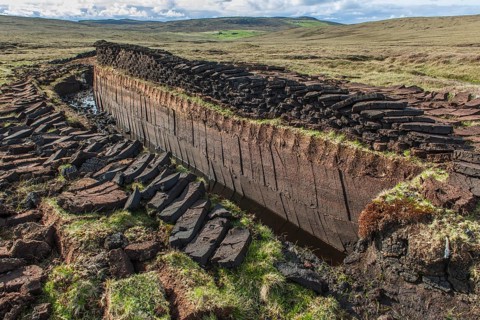 Cut peat on a peat bog