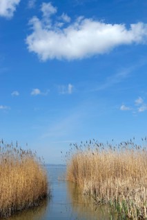 Lakeshore between Podersdorf and Weiden am See