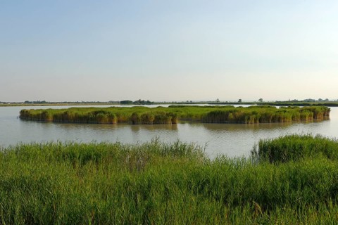 Darscho in Apetlon