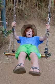 Boy on swing
