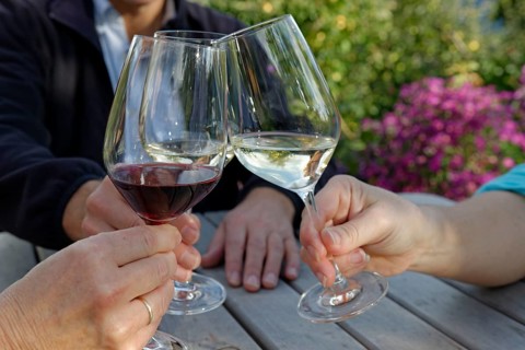 Three people clink their wine glasses