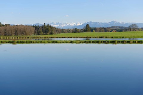 Fishponds at Nussberger Weiher