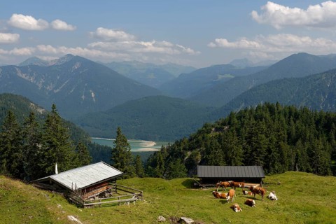 Mountain lodge Hochleger am Staffel