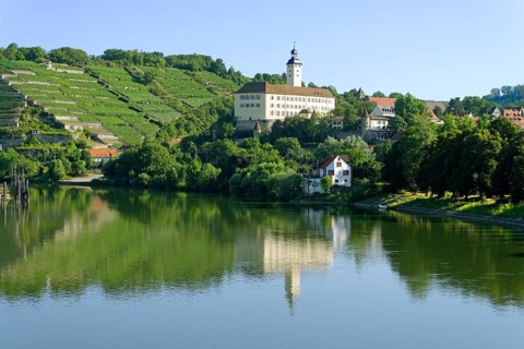 Horneck Castle on the Neckar river