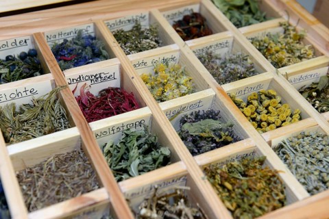 Collection of dried herbs and medicinal plants
