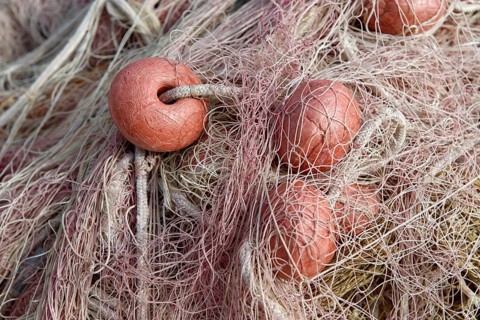 Fishing net in the port