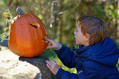 Boy sitting in front of a Halloween pumpkin