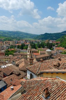 Canelli