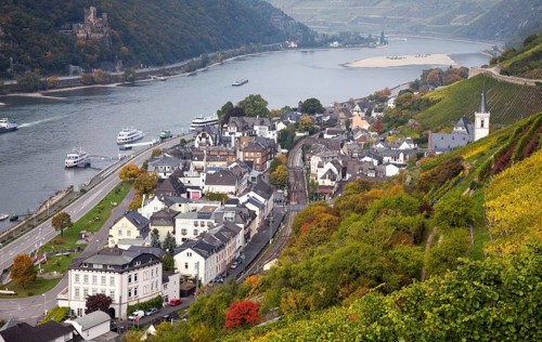 View of Assmannshausen and the Rhine Valley