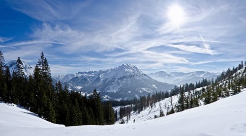Snowy landscape