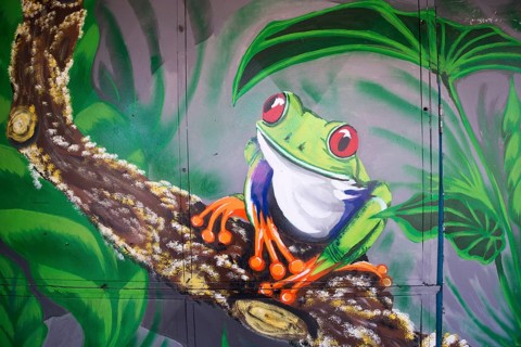 Graffiti of a frog in the rain forest