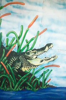 Graffiti of a crocodile