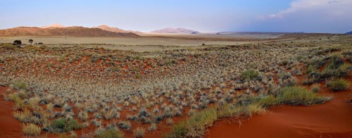 View over NamibRand Nature Reserve