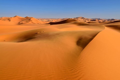 Sanddunes