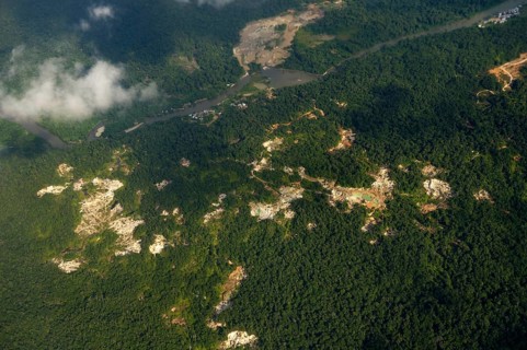 Illegal gold mines in rainforest