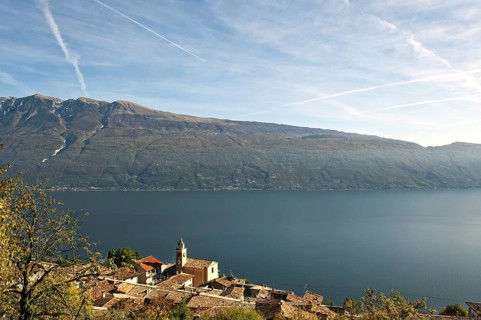 Muslone