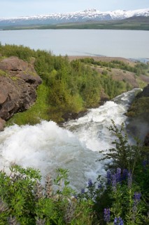 River Hrafnsgerdisa flowing into the Lagarfljot Lake