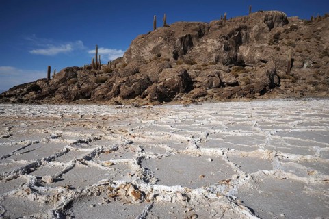 Isla Incahuasi in Salar de Uyuni salt flat