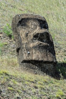 Moai in Rano Raraku