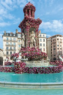 Jacobins square during the 17th World Convention of Rose Societies in 2015, Lyon
