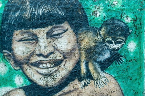 Boy with monkey