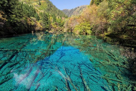 Colorful Lake