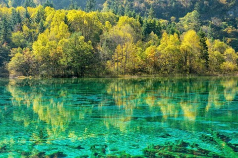Colorful Lake
