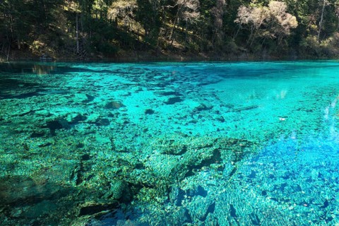 Five Color Pool or Pond
