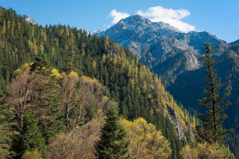 Mountain landscape