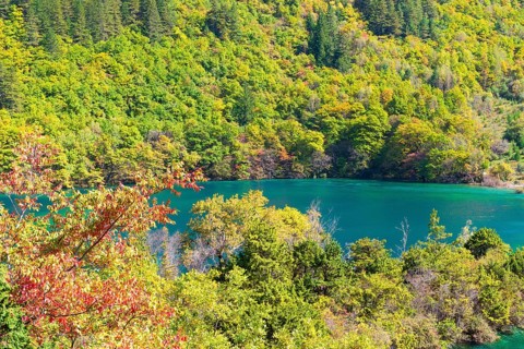 Sparkling Lake