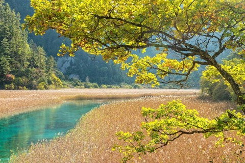 Reed Lake