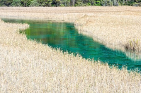 Reed Lake