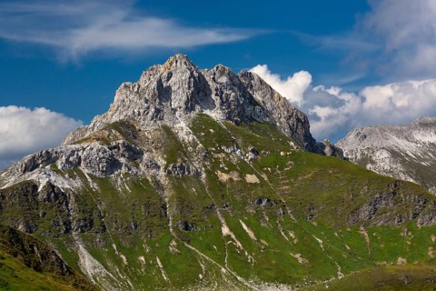 Wildkarkopf