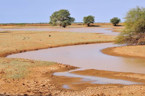Small pond in the desert after rain