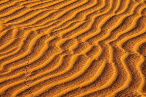 Sand ribs