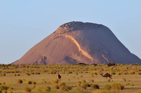 Camels in front of Ben Amira