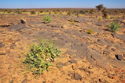 Rocky plateau