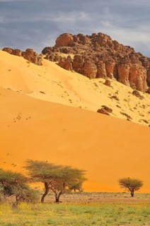 Hill almost fully covered with sand from a sand dune