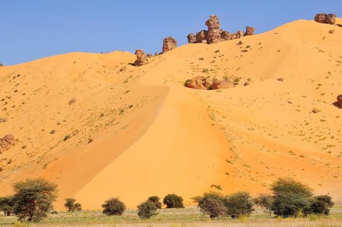 Hill almost fully covered with sand from a sand dune