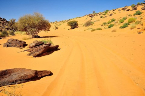 Tire tracks in the sand