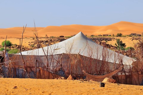 Nomad tent in an oasis